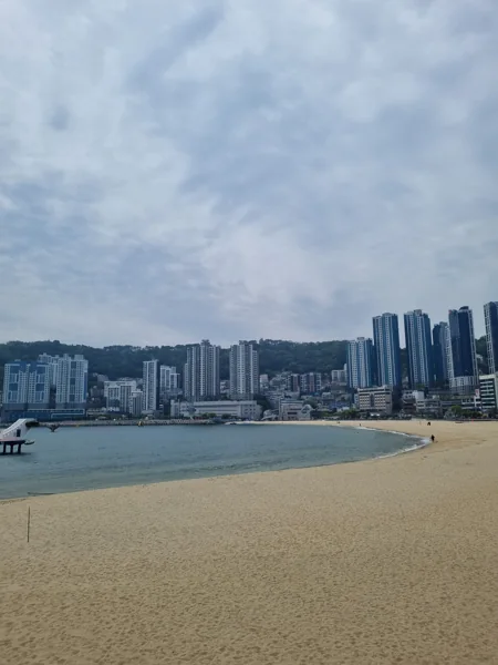 실제 참가자가 촬영한 송도 해변 풍경